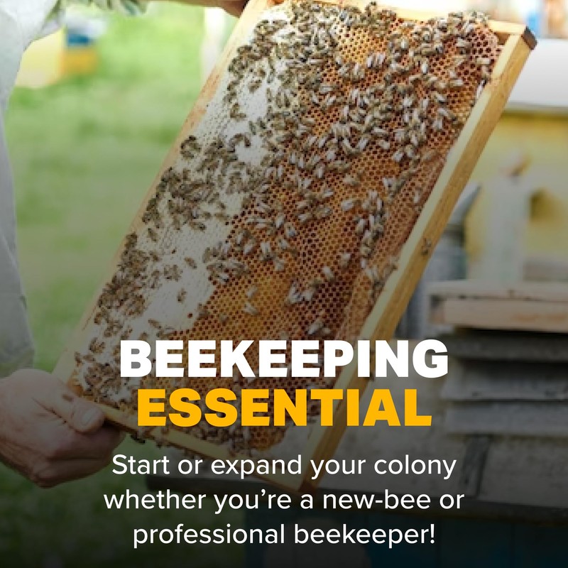 Mann Lake Nutrition Honey Labels, Self-Adhesive, Easy-to-Apply, Boost Honey Sales,