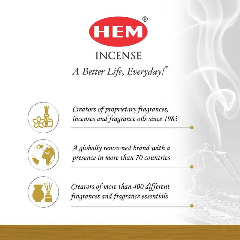 Hem Patchouli Amber Incense Sticks (120 Sticks, 6 Boxes Inside)