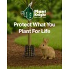 Plant Knight Tree Sapling Protector – Plant Cages to Keep