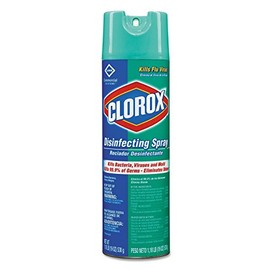 Clorox Disinfecting Spray Multi-Surface Cleaner, Kill Bacteria, Viruses and Mold, Eliminate Odors, 19 Oz - 12 Pack
