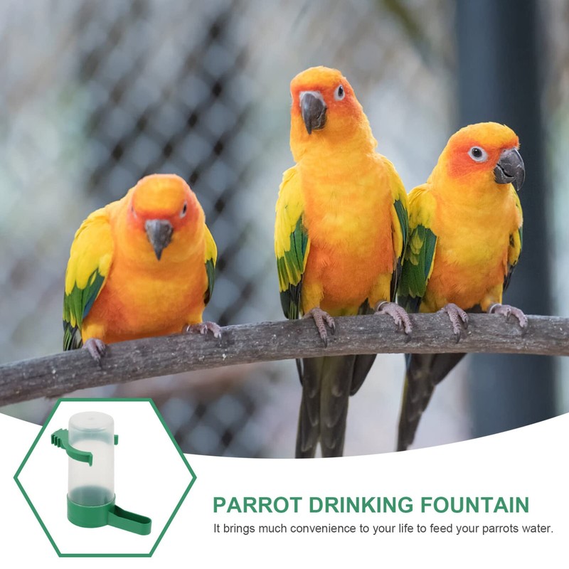 ibasenice Automatic Cockatiel Dispenser - 10PCS Practical Birds Feeders Drinker