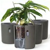 Self-Watering Planter for Leca and Pon - 4-Pack (6 inch)