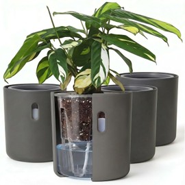 Self-Watering Planter for Leca and Pon - 4-Pack (6 inch)