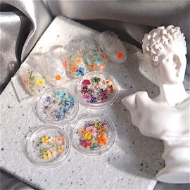 Set of 48 Handmade Mini Pressed Flowers, Dried Flowers, Small, Delicate and Cute Colors, Mix Colorful DIY Nails Resin Sealed Original Material Accessories