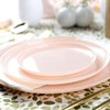 Blue Sky Edge Collection Pink Disposable Plates 6.3" - 10