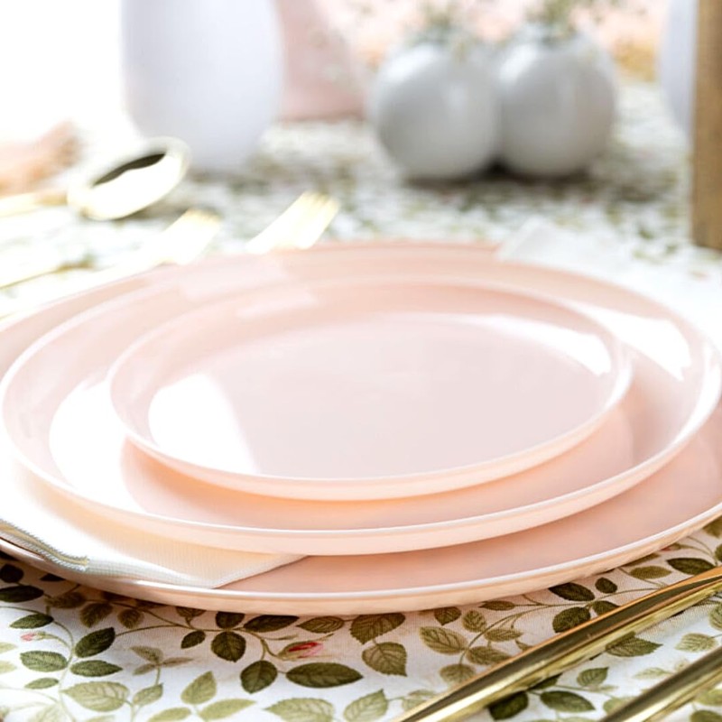 Blue Sky Edge Collection Pink Disposable Plates 6.3" - 10