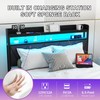 VERFARM Full Bed Frame with LED Lights Storage Upholstered Headboard