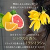 95% Natural Ingredients Superfood Lab [Ultraviolet Ray] P Barrier [Refresh]