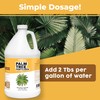 TPS NUTRIENTS Palm Tree Fertilizer for All Palms and Ferns,