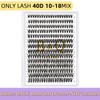 B&Qaugen 30D+40D Lash Kit l Natural Look Long Lasting Lashes