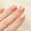 Jermy One 113 Pure Beige