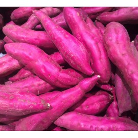 Unbranded Japanese Murasaki Sweet Potatoes Beni Imo Planting or Cooking Non GMO - 4 Pounds