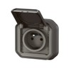 Plexo Legrand Socket 2P+T Waterproof 16A Complete Flush-Mounted Anthracite