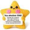 AVALYNNE Crochet Star Congratulations Gift - New Job & Promotion