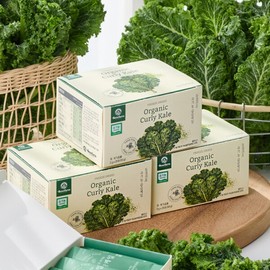 BenePharm Freeze-Dried Organic Curly Kale 3 Boxes (2g x 25 Packets x 3 Boxes) / 베네팜 동결건조 유기농 곱슬케일 컬리케일 3박스 (2gx25포 x 3박스)