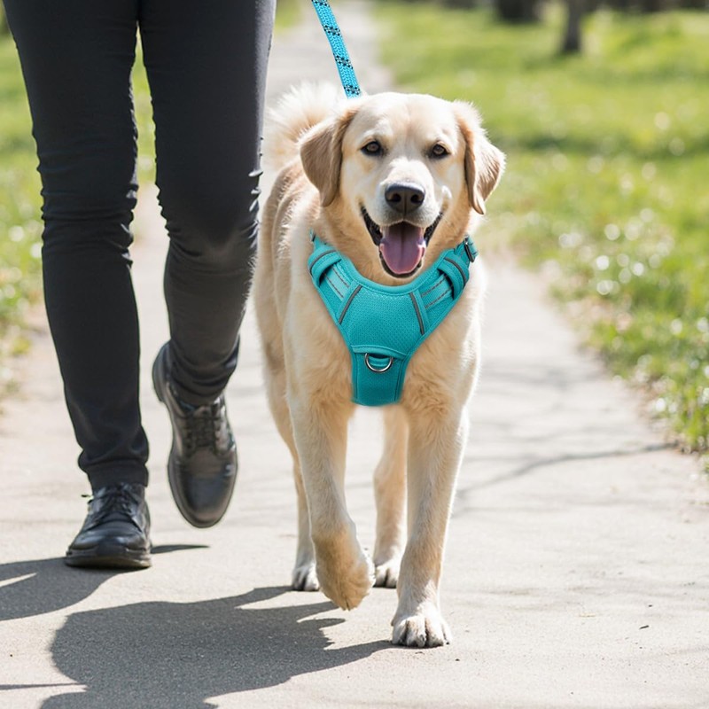 BARKBAY No Pull Dog Harness Large Reflective Dog Harness with