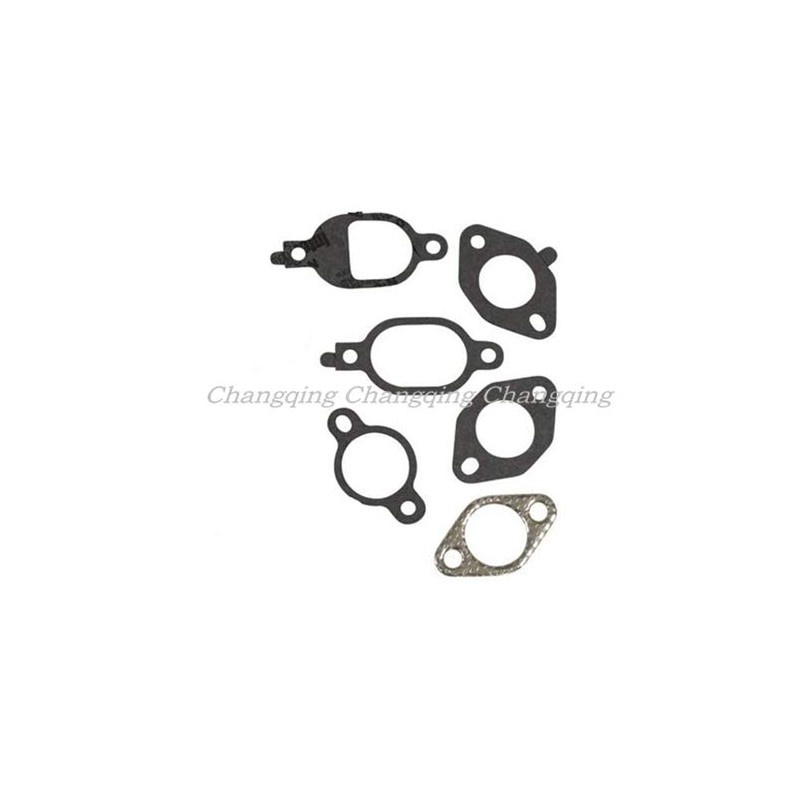 CQYD 20-841-01-S Kit de junta de cabeza para Kohler 20