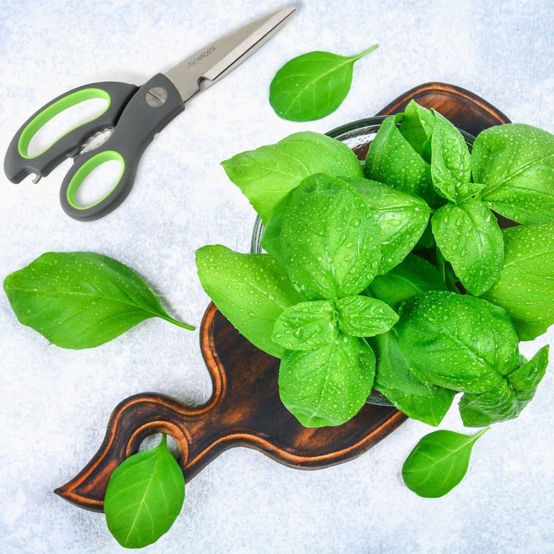 Nirosta Super Scissor Praktika with Opener 23cm, Stainless Steel Grey/Green,