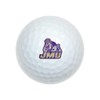 GRAPHICS & MORE James Madison University Novelty Golf Balls 3