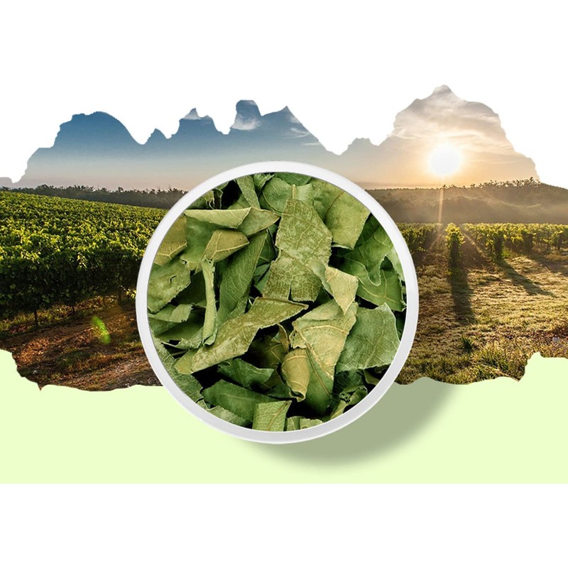 Organic Natural Pure Banaba Leaf Extract Powder -14.1Ounce (400g)