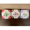 Buzzy Grow Your Own Grow Kit Mini Rose, Basil, &