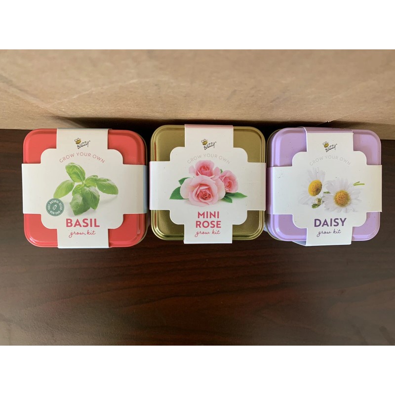 Buzzy Grow Your Own Grow Kit Mini Rose, Basil, &