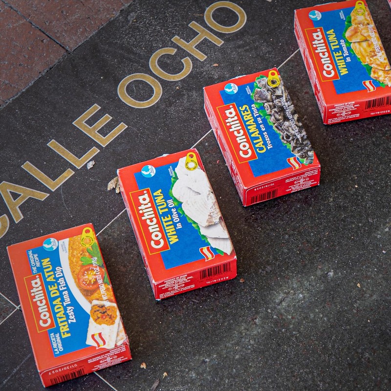 Conchita Zesty Tuna Fish Dip, 4 oz - Bold Seafood