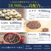 【医師監修】集中 サプリ ムクナ 高配合9,900mg ドーパミン GABA カフェイン 30日分 120粒 adhd