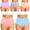 Ceseboo Women's High Waisted Cotton Underwear,Organic Cotton Underwear for Women