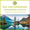 Krauseminze (Spearmint) Öl 10ml - 100% naturreines, ätherisches Öl von