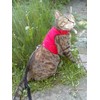 Mynwood Cat Jacket/Harness Red Fleece Kitten up to 8month