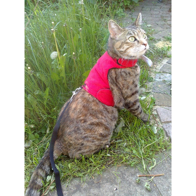 Mynwood Cat Jacket/Harness Red Fleece Kitten up to 8month