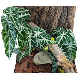 Woyrise 2 Pack Reptile Plants, Terrarium Hanging Plant Vines, Artificial Leaves with Suction Cup, Bearded Dragon Tank Accessories for Gecko Lizard Snake Frog Tortoise Decorations - Alocasia Velvet