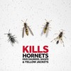 Raid Wasp and Hornet Killer Spray, Kills the entire nest,