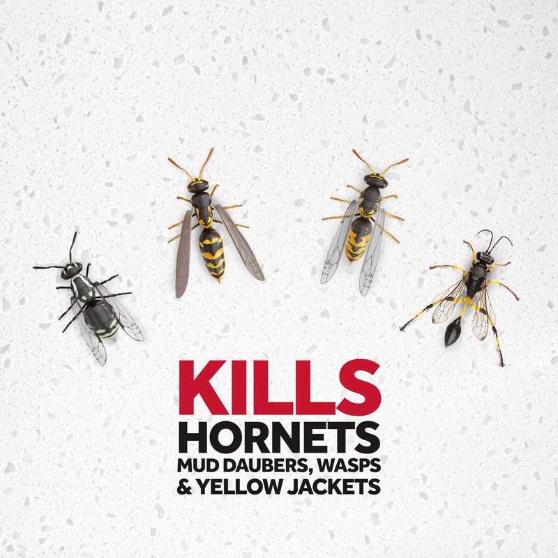 Raid Wasp and Hornet Killer Spray, Kills the entire nest,