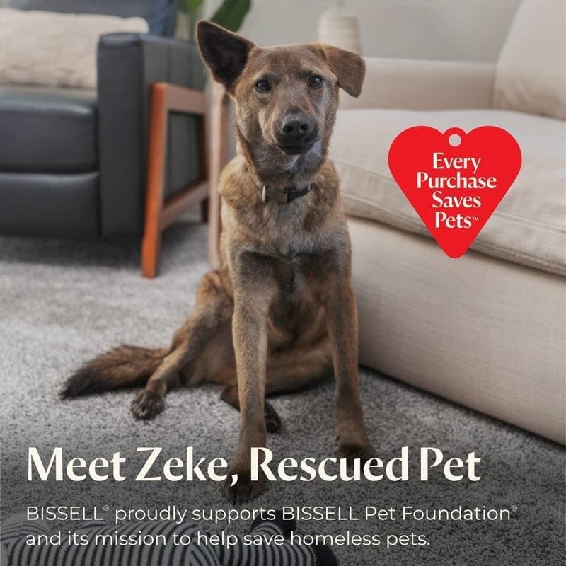 BISSELL Pet Hair Eraser Cordless Hand Vacuum, Lithium Ion, Home,