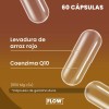 Arrozima Coenzima Q 10 Red Yeast Rice 60 Cáps Flow