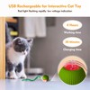 Doweve Interactive Cat Toys for Indoor Cats, Smart Moving Interactive