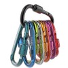 Gimars 10 PCS 6cm D Shape with Locking Screw Nuts, Spring-loaded Gate Carabiner Clips, Small Carabiner for Key Chain Camping Fishing Hiking Travelling Backpack