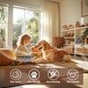Plug-In Air Freshener Refills 12 Pack - Summer Scents with