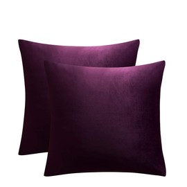 JUSPURBET Decorative Velvet Throw Pillow Covers for Sofa Couch Bed,Pack of 2 Luxury Soft Cushion Cases,16x16 Inches,Eggplant Purple