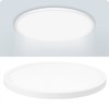 Smart Ceiling Light WiFi 25W Cold and Warm Light RGB