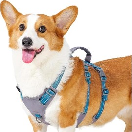 HYSHLC Hundegeschirr mit Leine, Verstellbare Geschirr Hund, Anti Zug Hundegeschirr mit Griff, Weich Gepolsterte Reflektierende Brustgeschirr Leuchtend für Haustiere Brustumfang 56-66cm(Lila L)