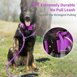 Strong Slip Rope Dog Training Leash (4ft) - Heavy Duty Durable Braided Nylon Lead with Rubber Stopper & Padded Handle - No Pull Walking Climbing for Medium Large Dogs (Purple, 1/2" x 6ft)