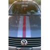 ORACAL 2 color Racing Stripe Graphics fit ANY YR Volkswagen