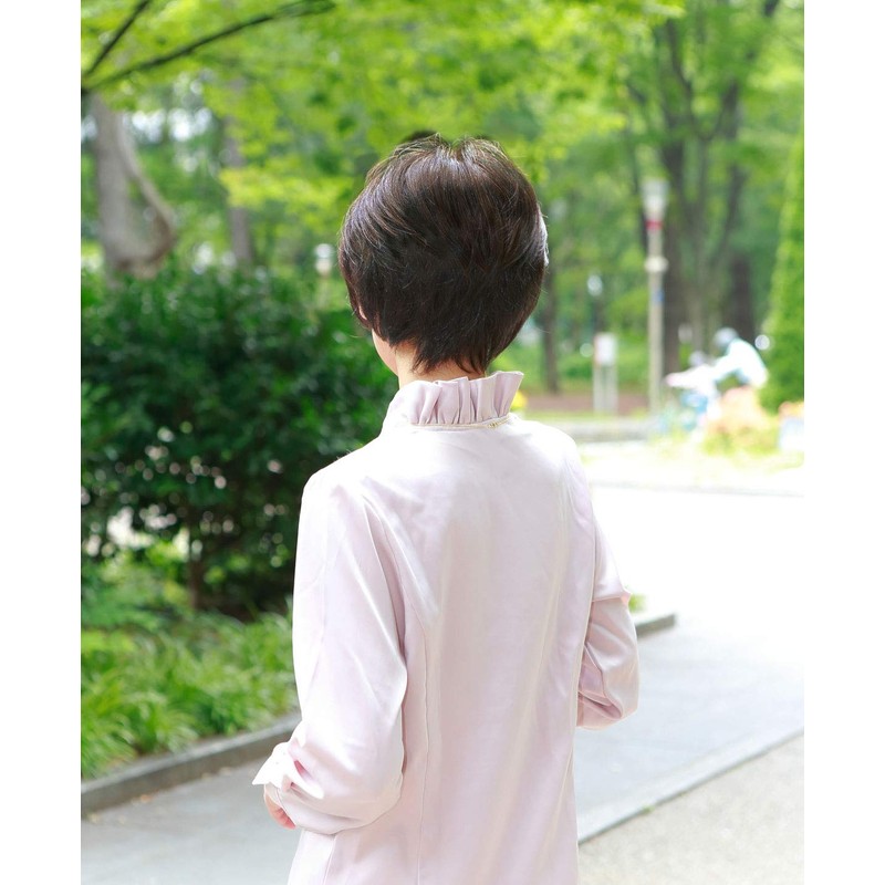 Prisila ST-005 Priscilla Gray Hair Wig, Divided Type, 4A, Brown