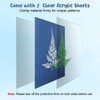 38 Sheets Cyanotype Sun Print Kit With 2 Clear Acrylic