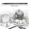 MINIEASE Charcoal Pencils For Drawing Perfect For Beginners, Professionals And