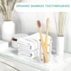 3pk Family Eco-Friendly and Natural Organic Wooden Bamboo Toothbrushes, Biodegradable,