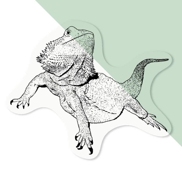 'Bearded Dragon' Clear Sticker Decal – Waterproof Film for Windows,